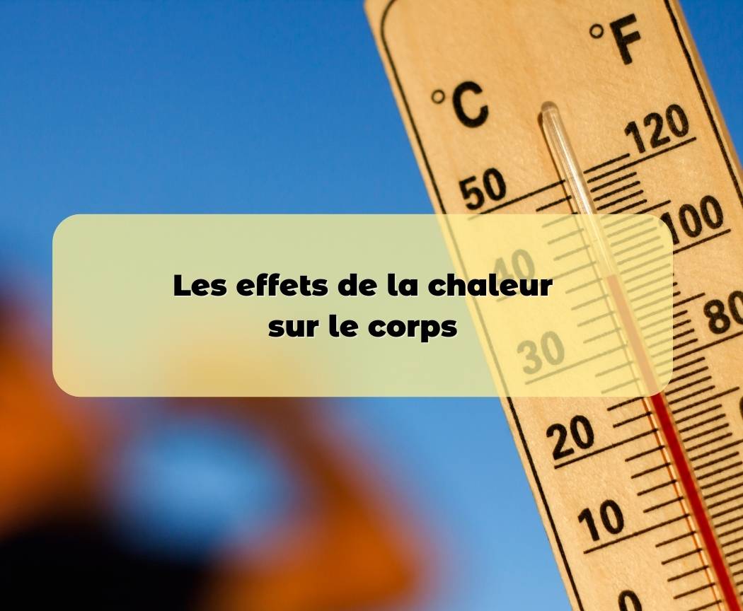 Comprendre les effets de la chaleur sur le corps et les prévenir ! Pimpant